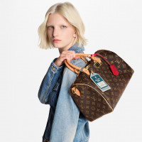 Louis Vuitton Сумка Speedy Soft 30 Crafty