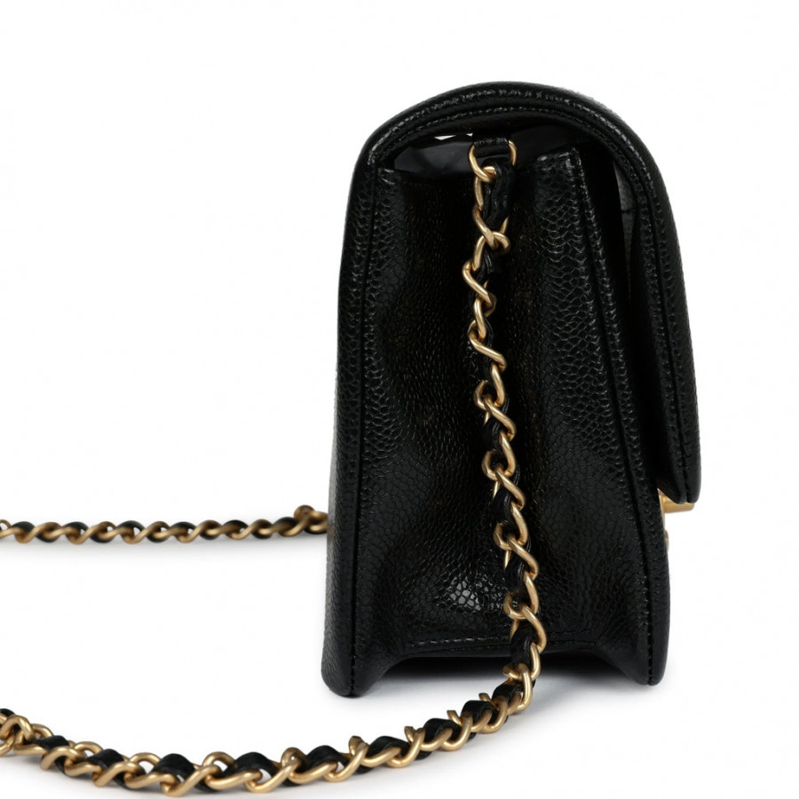 Chanel Маленькая сумка Flap Bag