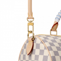 Louis Vuitton Сумка Speedy Soft 30