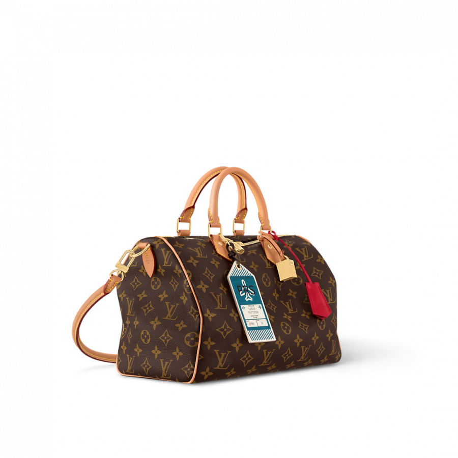 Louis Vuitton Сумка Speedy Soft 30 Crafty
