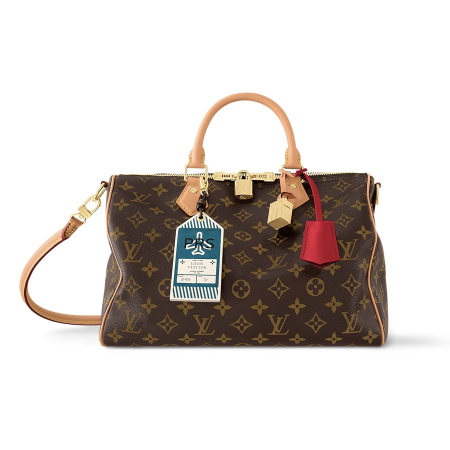Louis Vuitton Сумка Speedy Soft 30 Crafty