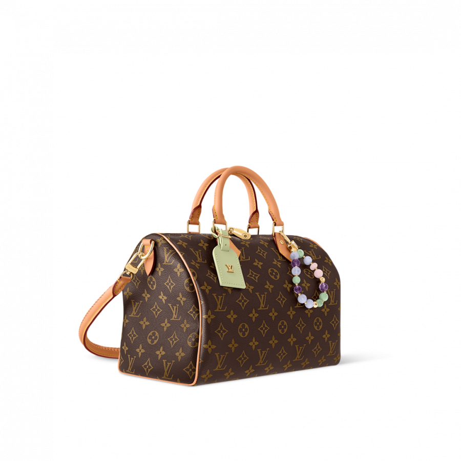 Louis Vuitton Сумка Speedy Soft 30 Lucky
