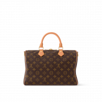 Louis Vuitton Сумка Speedy Soft 30 Lucky