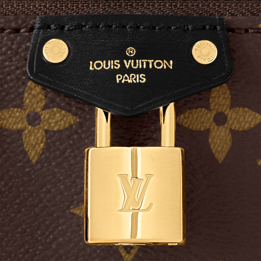 Louis Vuitton Сумка Vanity Chain