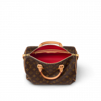 Louis Vuitton Сумка Speedy Soft 30 Crafty