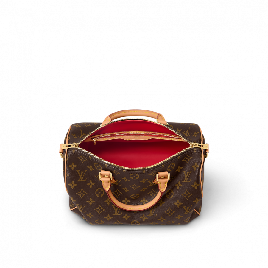 Louis Vuitton Сумка Speedy Soft 30 Crafty