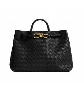 Bottega Veneta Сумка Andiamo medium