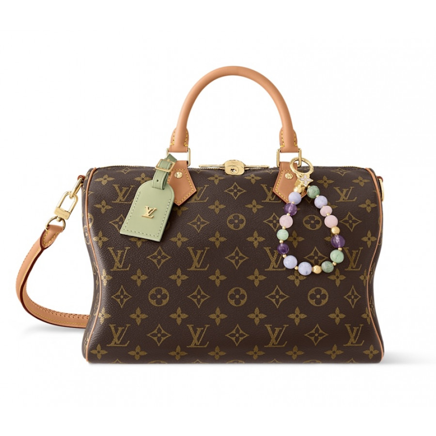 Louis Vuitton Сумка Speedy Soft 30 Lucky