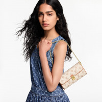 Louis Vuitton Сумка Pochette Camille