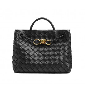 Bottega Veneta Сумка Andiamo small