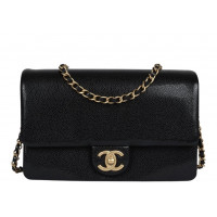 Chanel Маленькая сумка Flap Bag