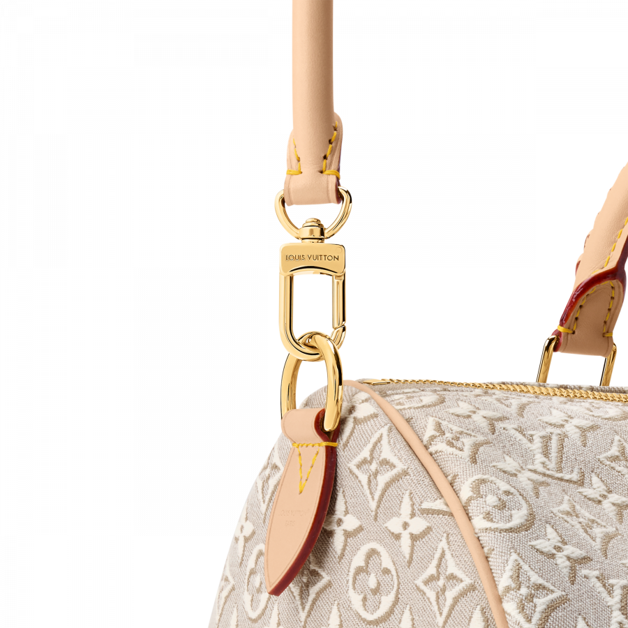Louis Vuitton Сумка Speedy Soft 30
