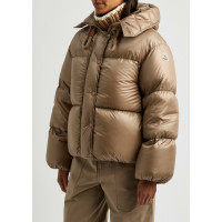 Moncler Стеганая куртка Moncler Borey Shell