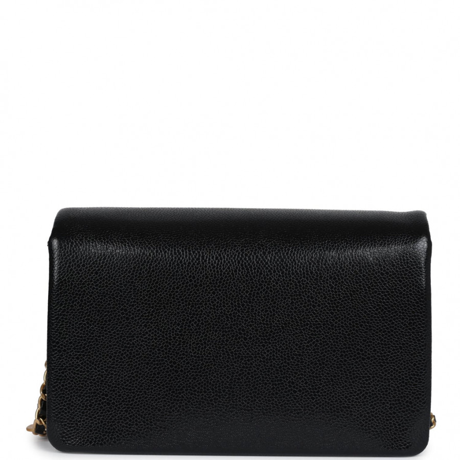 Chanel Маленькая сумка Flap Bag